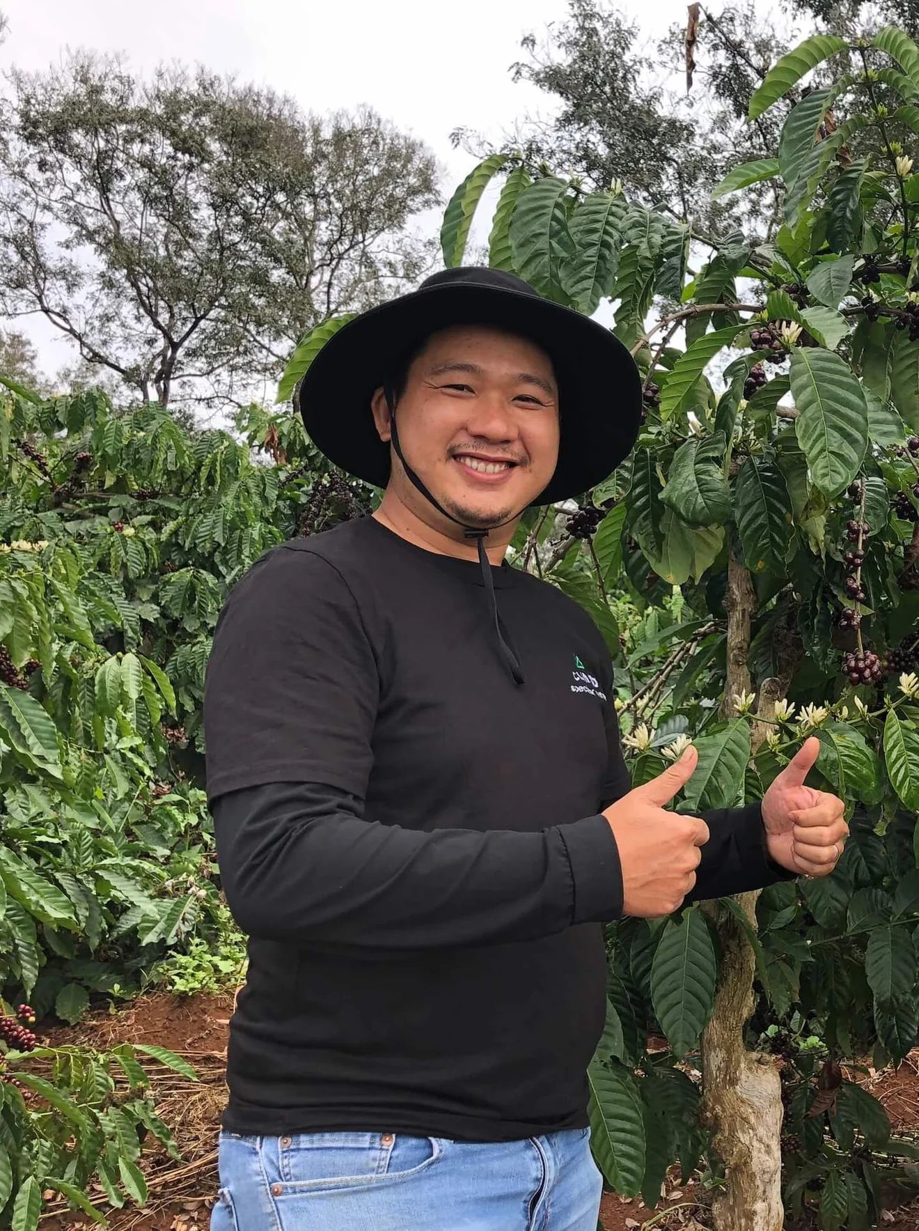 Mr. Quang Junior.webp specialty coffee on Beans.ie from global roasters