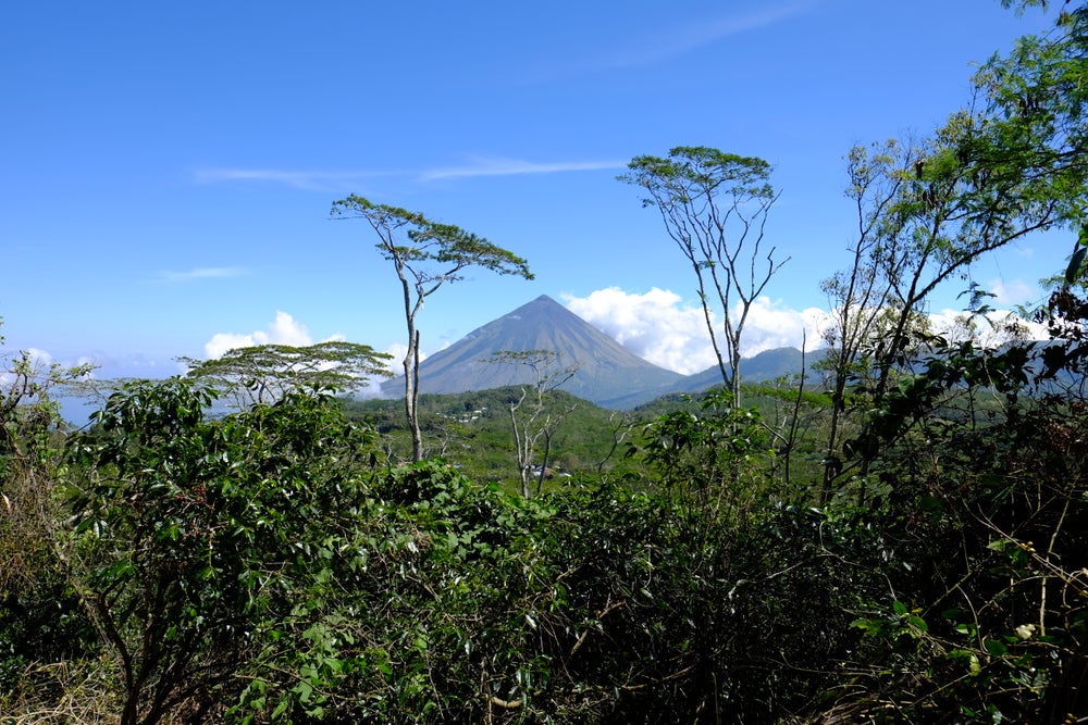 Sumaco Nature Reserve.jpg specialty coffee on Beans.ie from global roasters