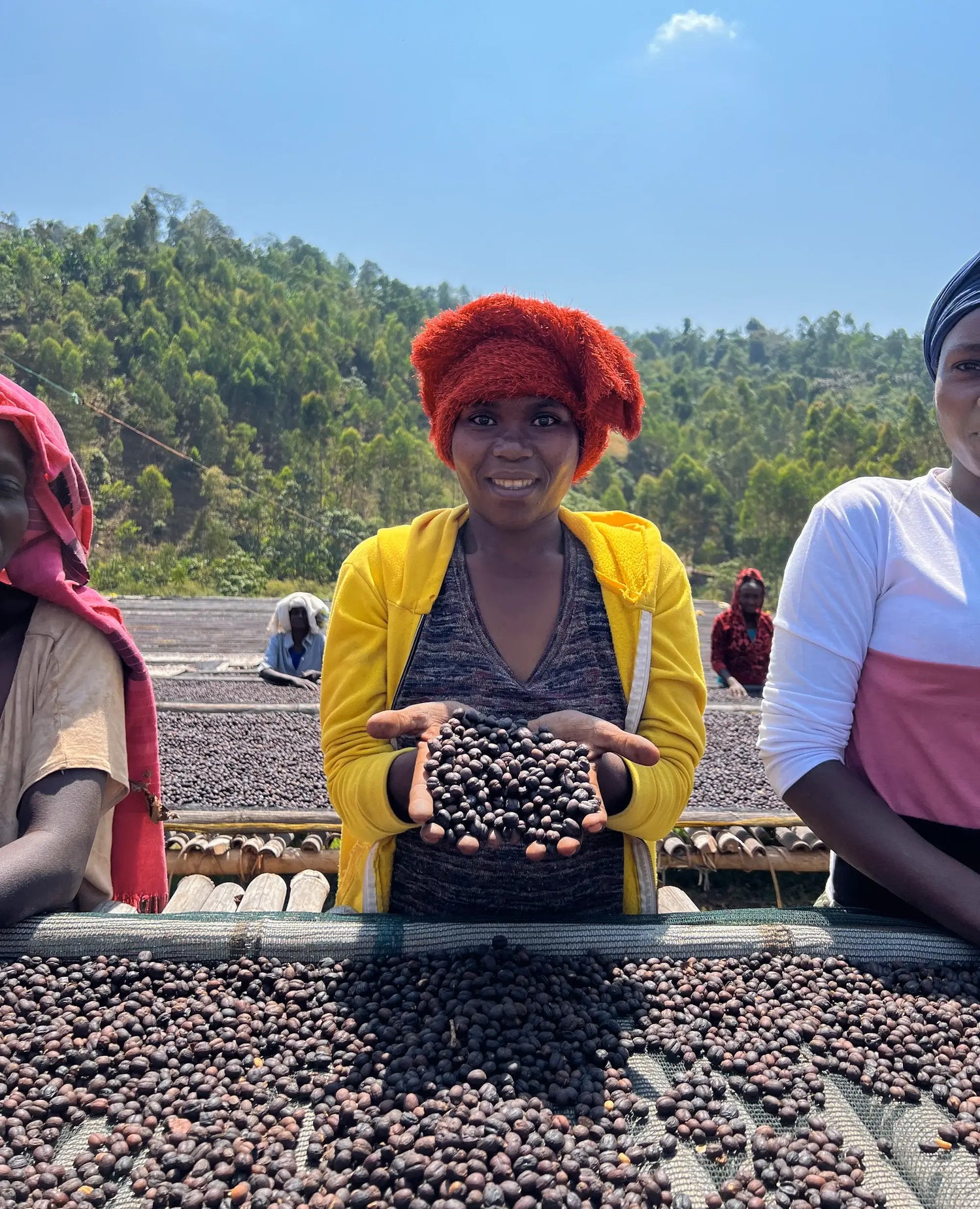 Ethiopia Ayla Coffee Station