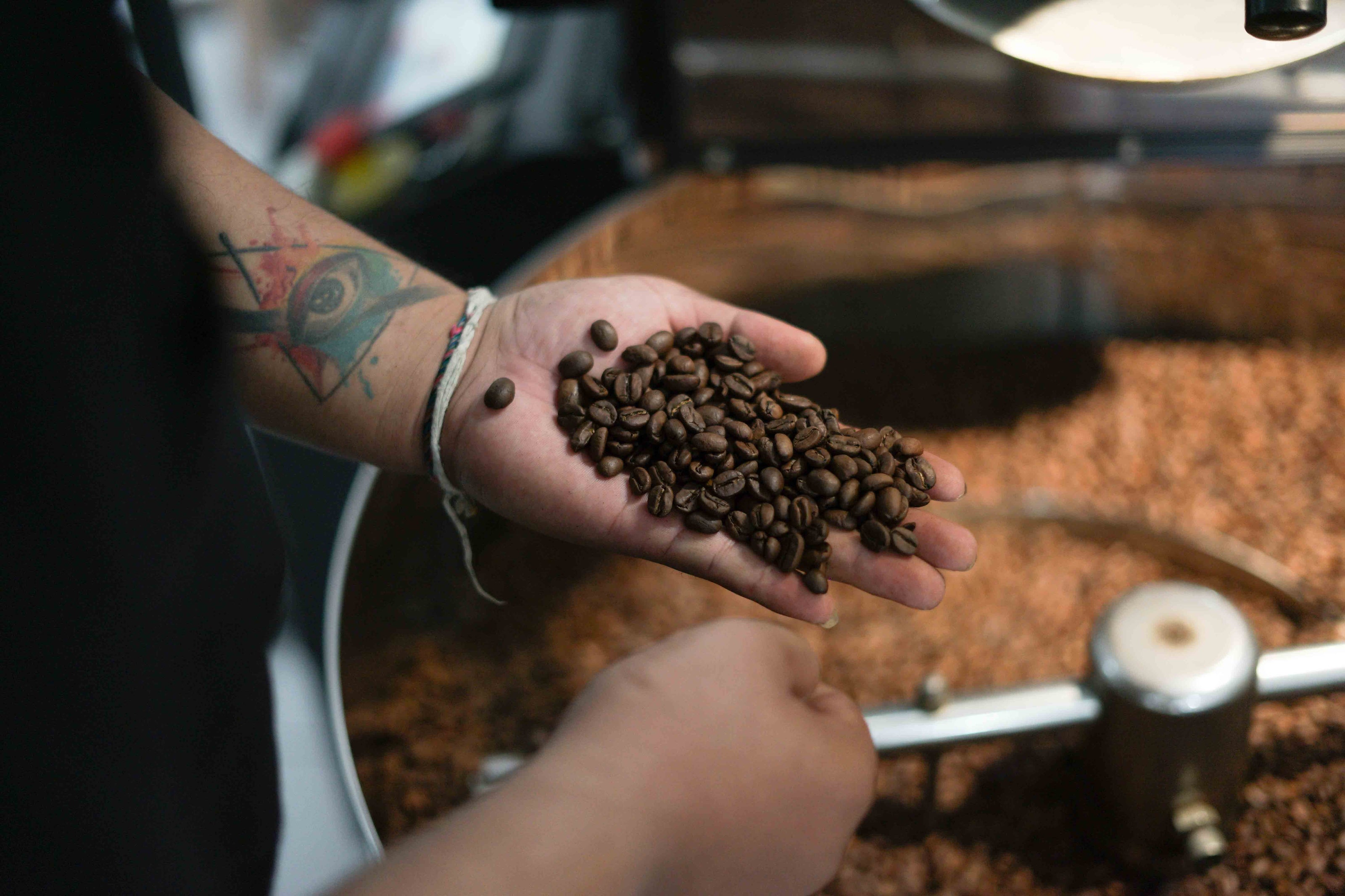 A close-up of hands holding freshly roasted coffee beans, with a coffee roaster in the background.