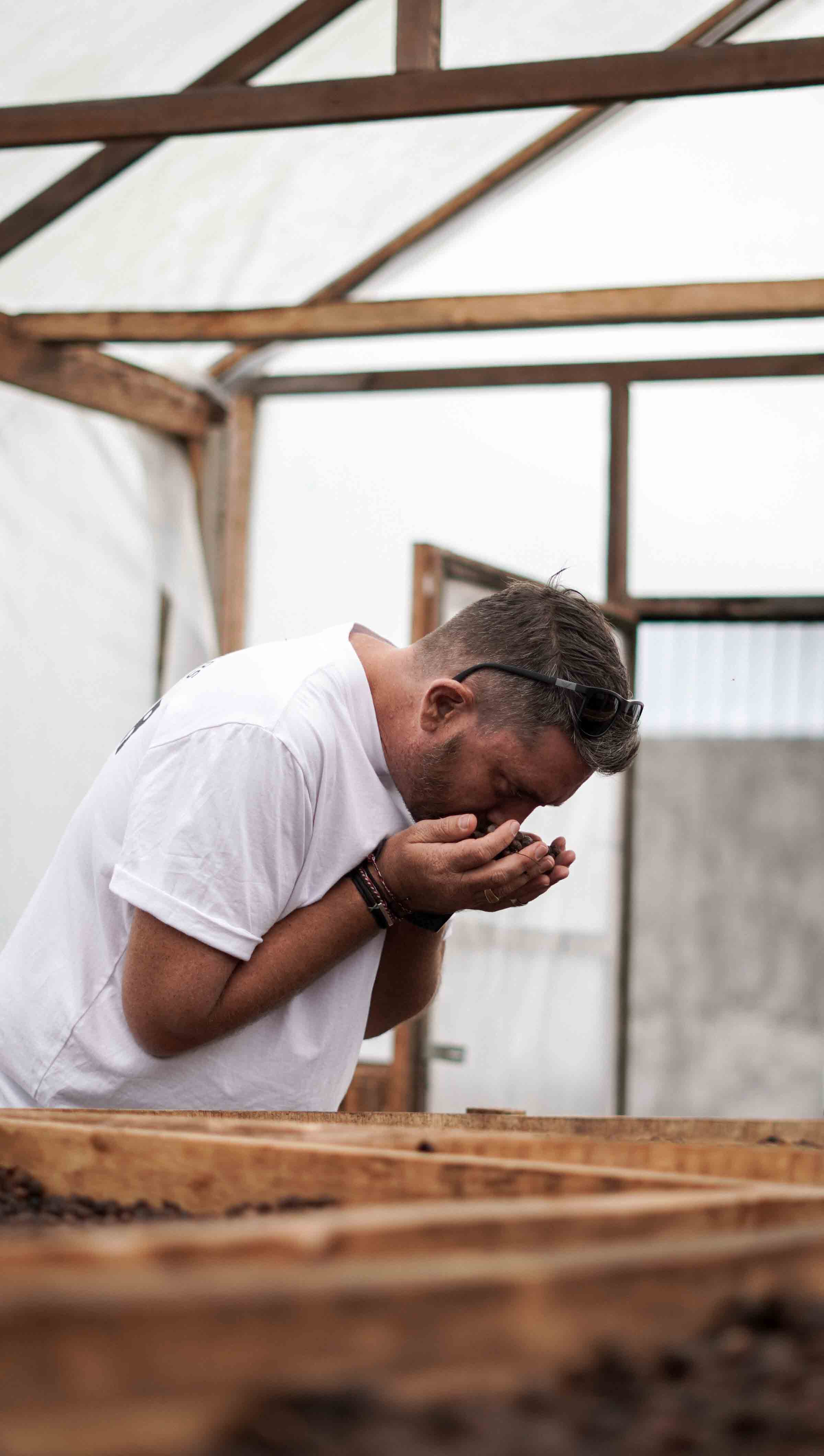 Shae Macnamara in a white t-shirt deeply inhales the aroma of drying coffee beans in a wooden drying bed inside a greenhouse.