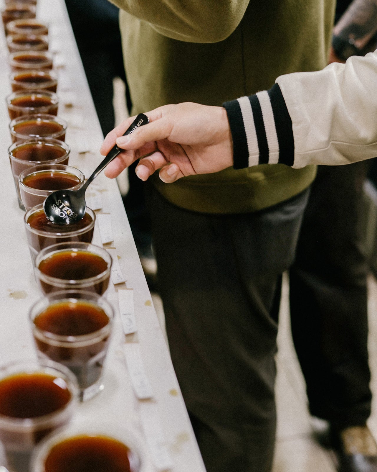 Stereoscope Coffee Tasting and Cupping