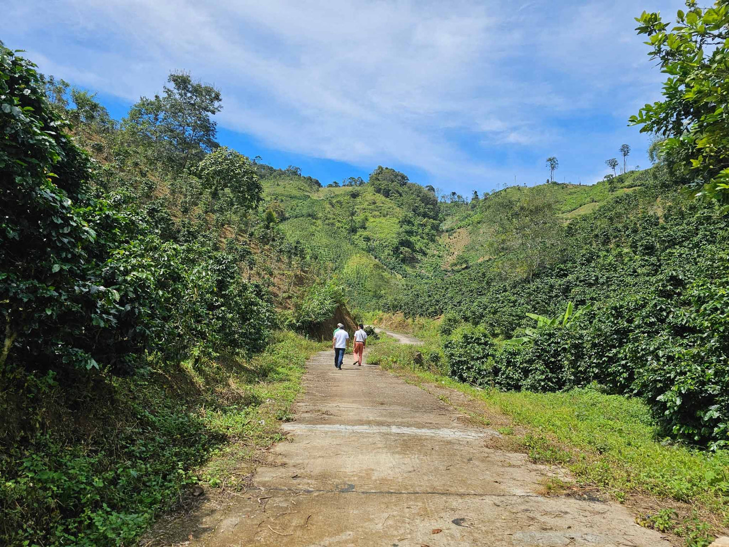 Vietnam Dung K’No Smallholders Farmers